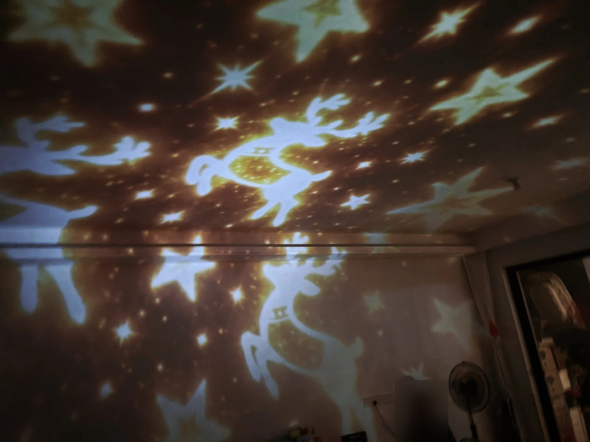 Real photo: reindeer and stars projection